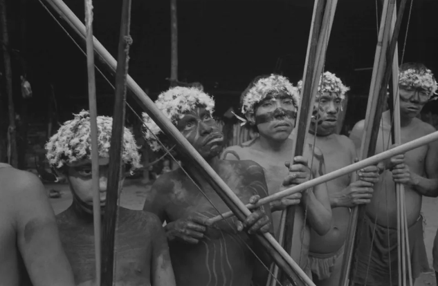 yanomami